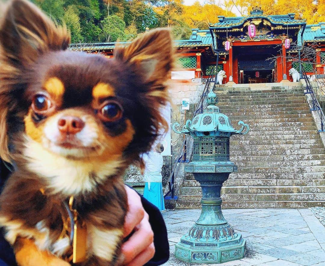 桜木ひなのグルメインスタ