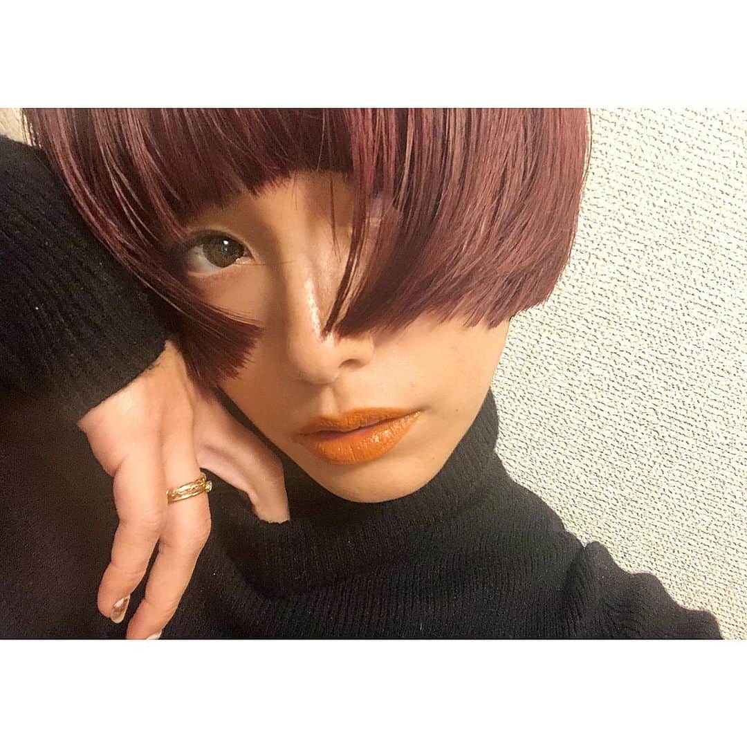 小泉梓のインスタグラム