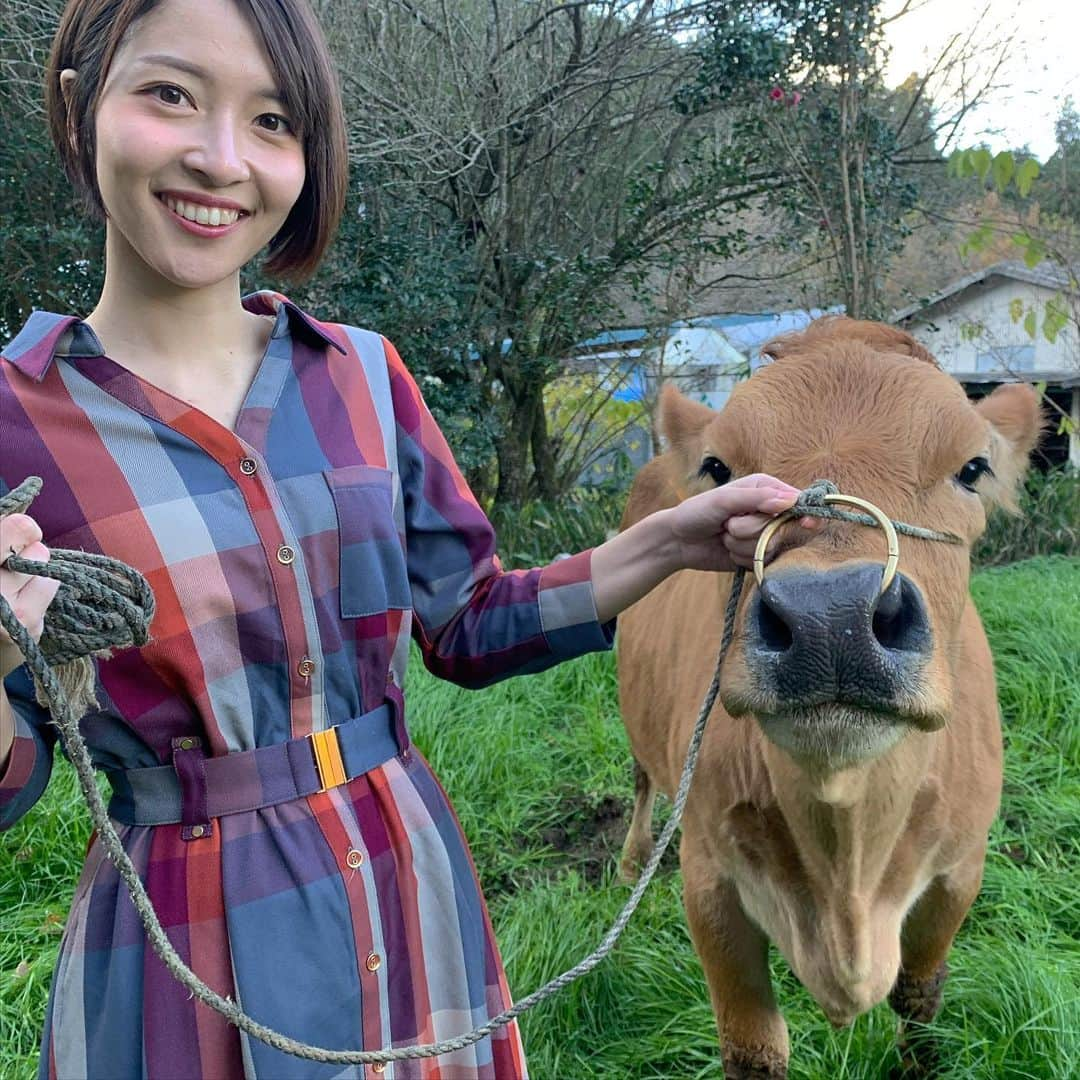 山下耀子のインスタグラム：「三ヶ日は牛さん投稿🐂 . あっという間に三ヶ日が終わってしまった😌 明日からお仕事の人もいらっしゃるかも 2021年もごきげんに頑張りましょう〜！ . ちなみに私は今日香川の郷土料理の #あんもち雑煮 作って食べました☺️💕 これ食べないと始まりませんねｪ！ . #お正月 #さんがにち最終日」