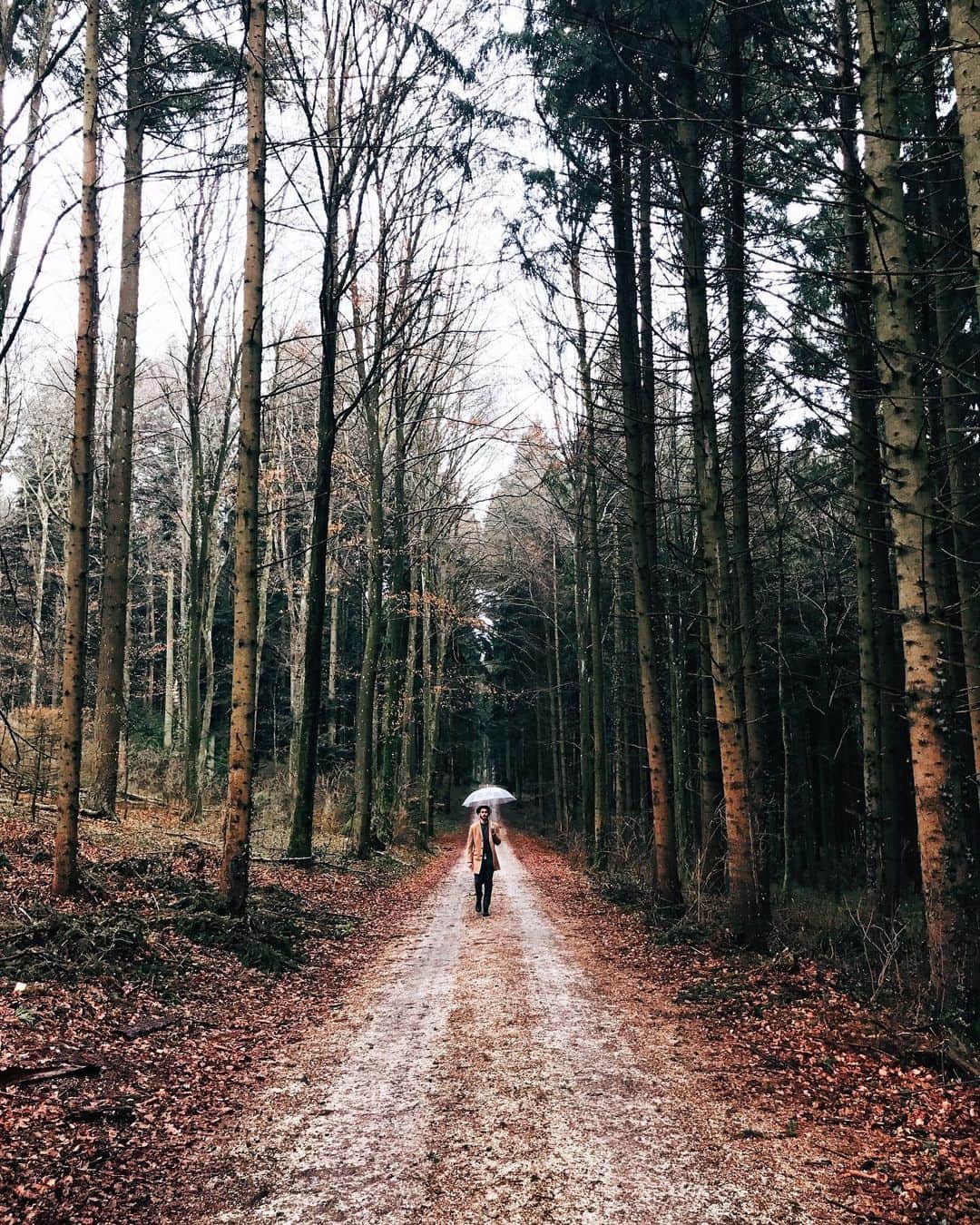 NICOLAS SIMOESのインスタグラム：「Sunday’s stroll in the woods 🖤✨」