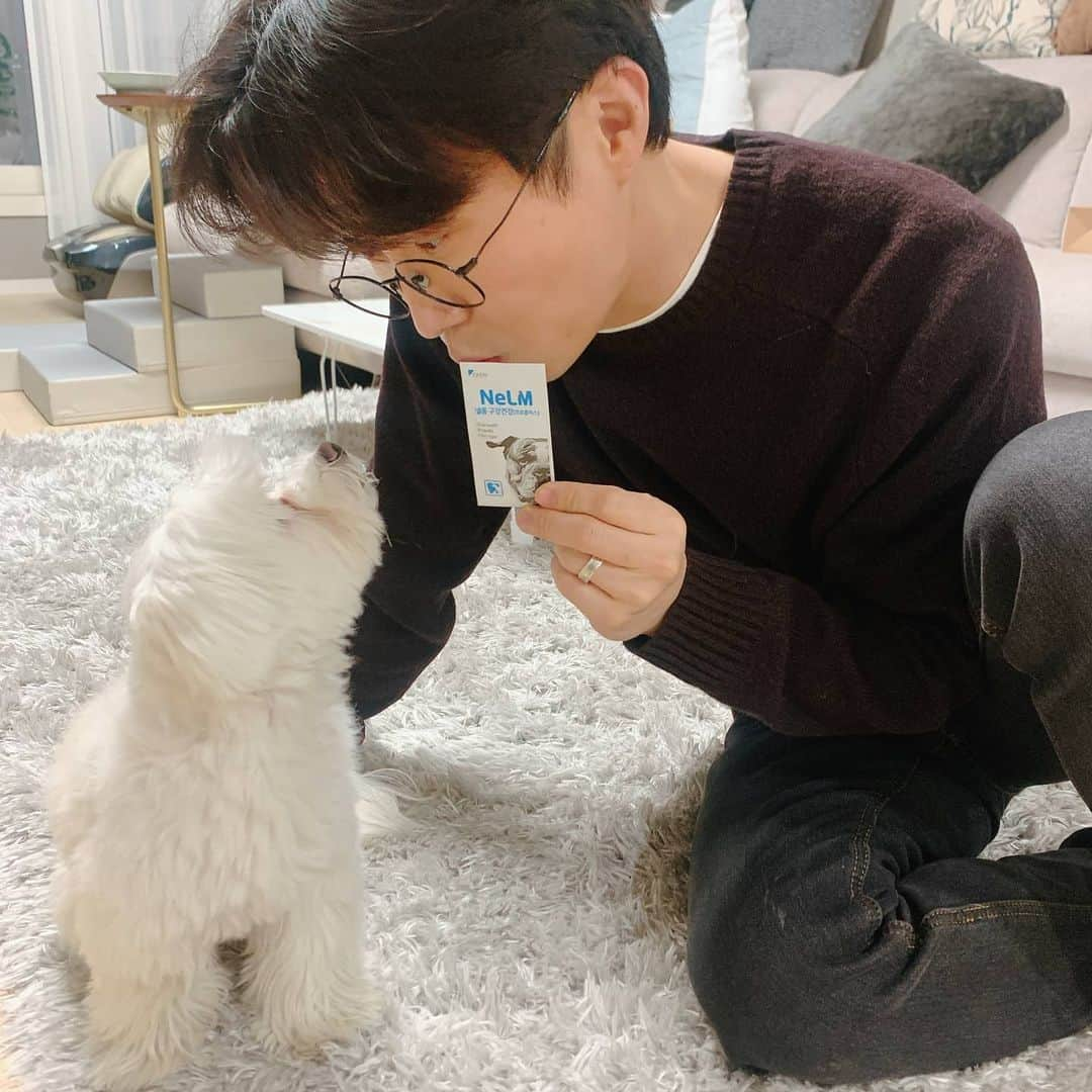 パク・ソングァンさんのインスタグラム写真 - (パク・ソングァンInstagram)「## #제품협찬  from happy me to happy pet 반려인, 당신은 더 행복해져야 해요 당신의 행복없이는 반려동물의 행복도 없으니까요 국내 최초 반려인행복케어브랜드 #mepet  광복이를 위해 더 좋은걸 챙겨주는게 내 행복이니까 국내 최초 반려동물 필름형 영양제 #낼름 광복이도 #낼름  @mepet_official #협찬 #미펫 #낼름 #nelm」1月3日 20時59分 - parksungkwang_22