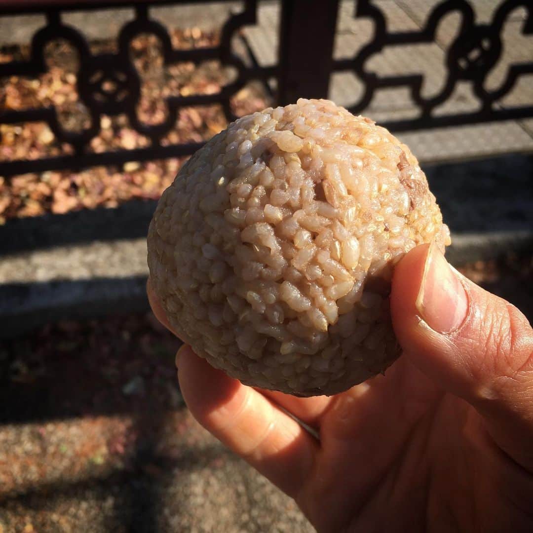 福田洋のインスタグラム：「今日にぎったおむすび。  今年はなにしろ、家事をとくに頑張ろうとおもっています。頑張るというか楽しむというか。 これが冗談抜きなのは、やっぱり掃除とか炊事とか、家のバイブスはすべての基本であり、命で、そこからプロレスやら何やらに繋がると感じているから。  気持を込めてにぎったらちゃんと美味しかったすわ。ムフフ。  #おむすび #omusubi」