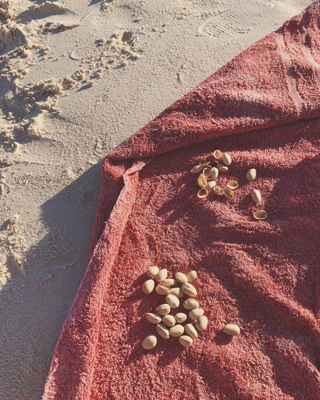 福本幸子のインスタグラム：「全く映えない私達のビーチピクニック🏖 Our picnic on the beach isn’t photogenic at all. Lol」