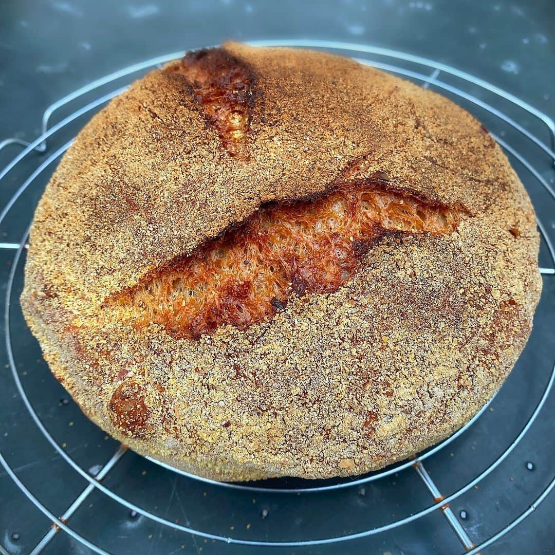 ナイジェラ・ローソンさんのインスタグラム写真 - (ナイジェラ・ローソンInstagram)「I’ve been making a lot of my soft sandwich bread recently, but I’ve got a quite a bit of cheese about the place, and needed a chewy, crusty loaf to go with; this called for @jimlaheyssb’s fabulous no-knead bread. Now I just have to wait patiently for it to cool down.... .  And to get the recipe, either go to nigella.com or click on link in bio. What I mean by this, is that you tap on my name, which will take you to a page that has a link on it that says www.nigella.com/instagram. When you click on this link, it will take you to a page of photographs: click on the photograph you have want the recipe of and you will be taken to it! #cookeatrepeat #nokneadbread  .」1月3日 22時34分 - nigellalawson