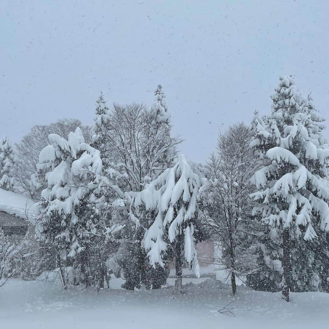 新原愛加のインスタグラム：「❄️」