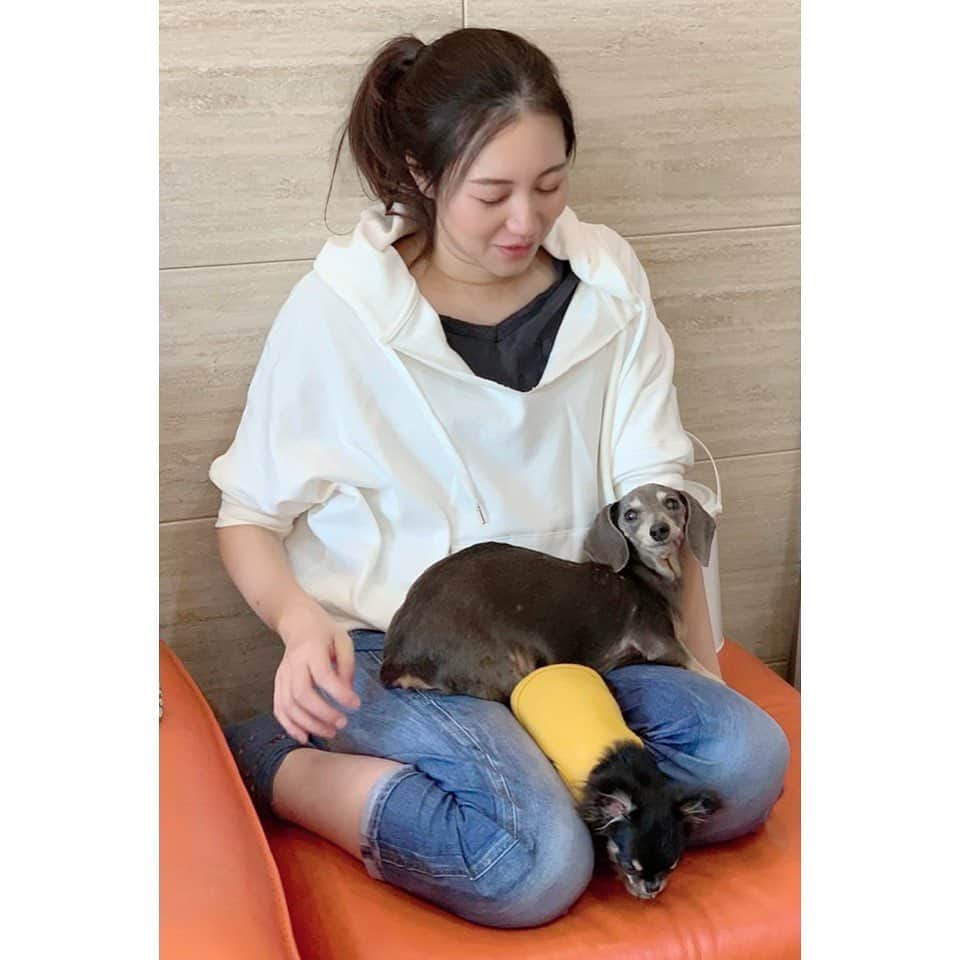 ダイエットコーチEICOのインスタグラム：「わんこ天国 膝のとりあい」