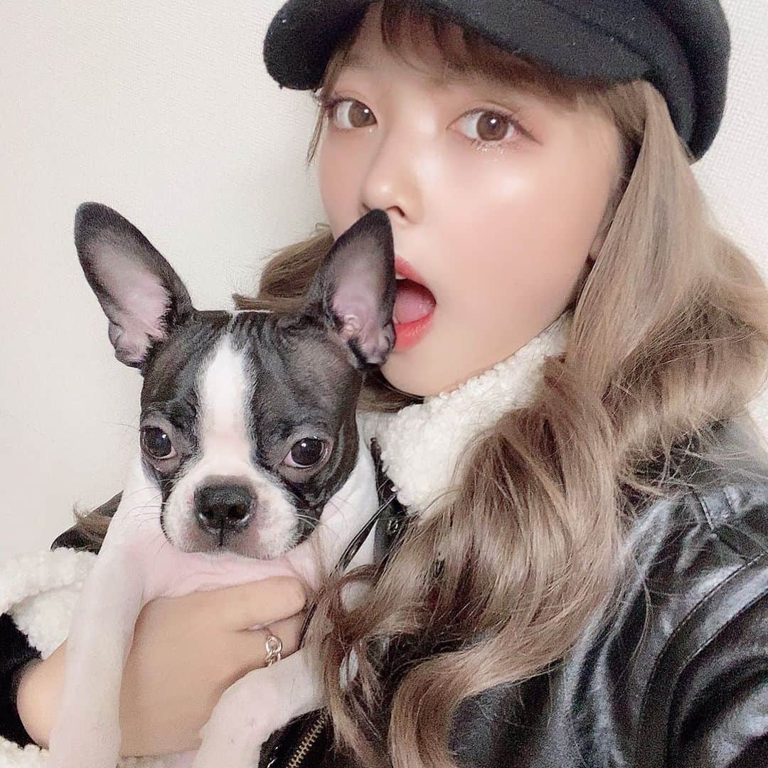 仲本莉絵瑠のインスタグラム：「おせちで一番すきなの何⁉️絶対くりきんとんでしょ」