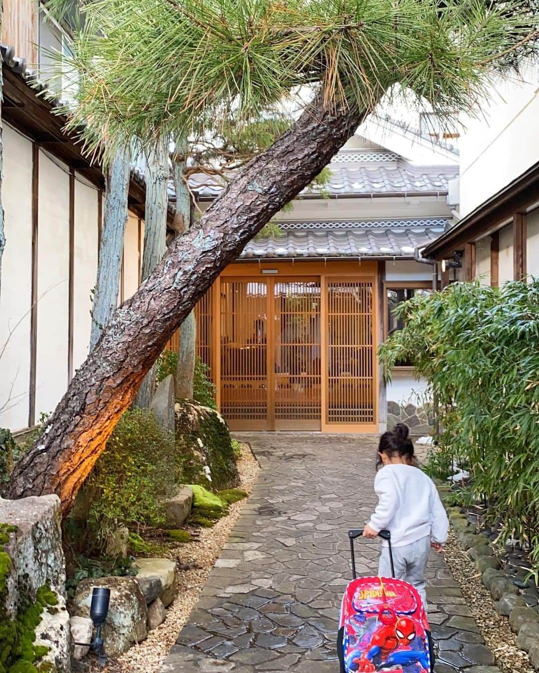 平山美香のインスタグラム：「きょんfamilyとぼたん鍋食べに丹波篠山の近又さんへ✨ 焼きボタンは子供達も気に入り、山椒がきいたお鍋も絶品でした✨ 朝食は、御節と炊きたてのお赤飯が美味しかった✨ @kinmata.2191  #ぼたん鍋 #丹波篠山 #お正月」