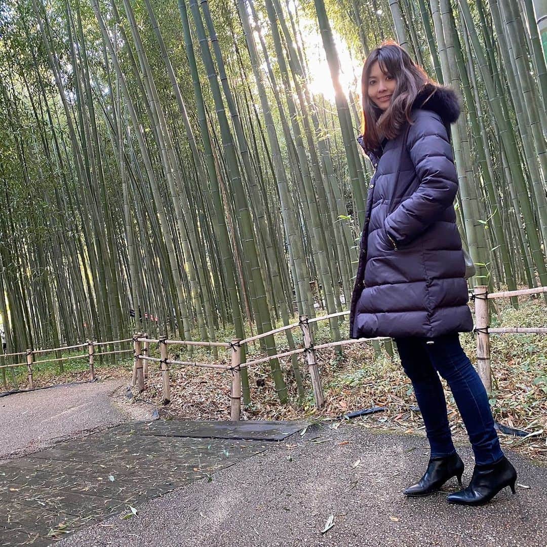 けんろーの嫁すたぐらむのインスタグラム：「. 【 嵐山の竹林 】 . 寄ってみました！！ とても寒かったですが、、、 12月31日の年末 素敵な空間でした♪ . #嵐山 #竹林 #竹林の小径 #嫁グラフィー #嫁スタグラム #bambooforest #arashiyama #japannature #京都観光 #丑年　#bamboo #kyototrip #japantrip #京都散歩 #嵯峨嵐山 #otonatabi_japan」