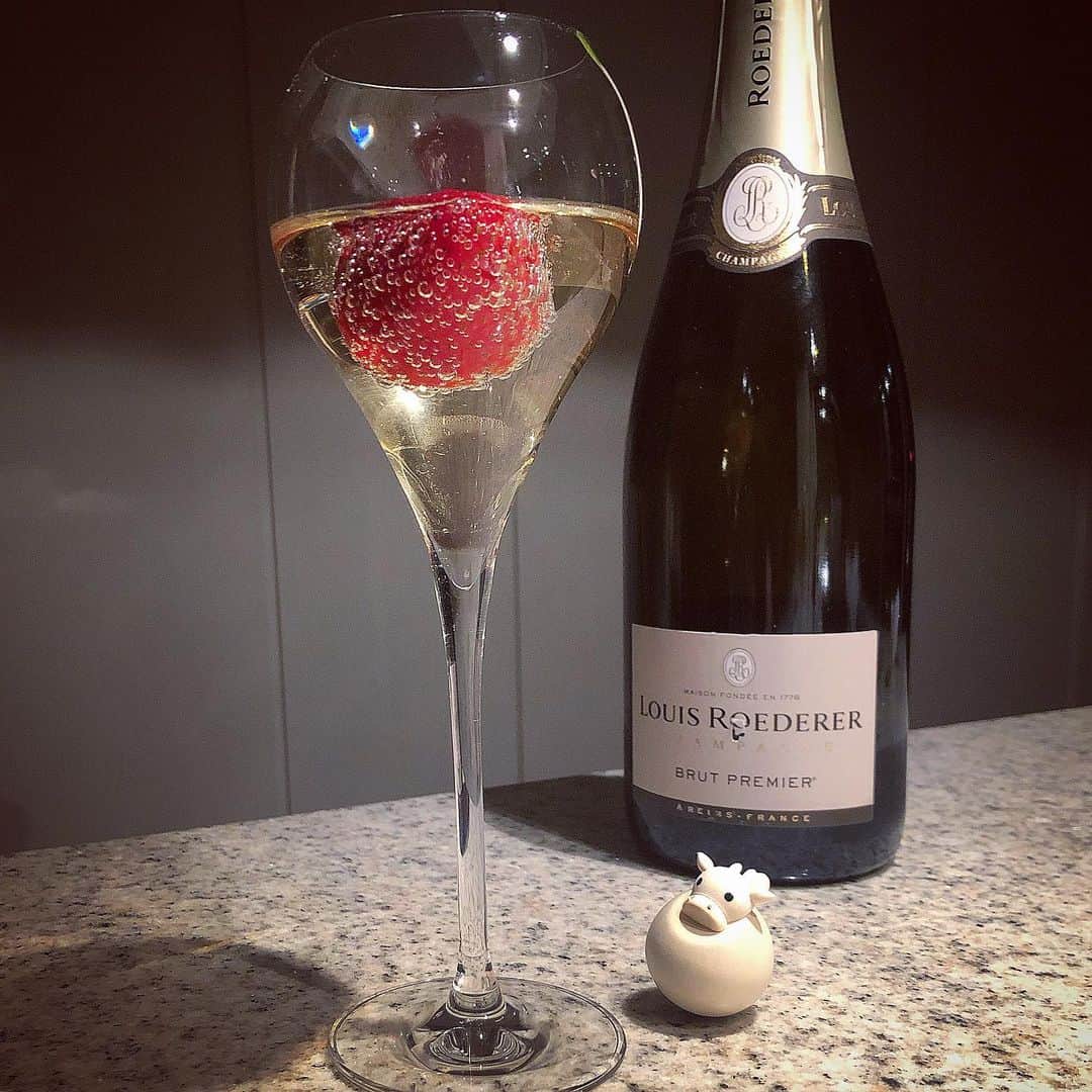 榊山敬代のインスタグラム：「🍓﻿ ﻿🍾…  ・ 新年のごちそうは 母親のお友達より 頂きました苺様と  クリスマスにいただきました 大好きなしゅわしゅわと共に 新年へカンパイしました記録  最近頂き物で生きてるので 本当に不思議でありがたい  ところで今年からデビューのウシちゃんが まだカメラに慣れない感じでコロコロりと  しばらくは模索中のとき カメラ目線研究中だモォ  🐮📸…  ・ ・ #happynewyear  #あけましておめでとうとうございます #イチゴ #いちご #苺 #strawberry #ルイロデレール #LOUISROEDERER #頂き物 🙏　#フルーツ #fruits #champagne #food # #artist #cooking #日本画家 の #盛り付け #お料理こんなもん」