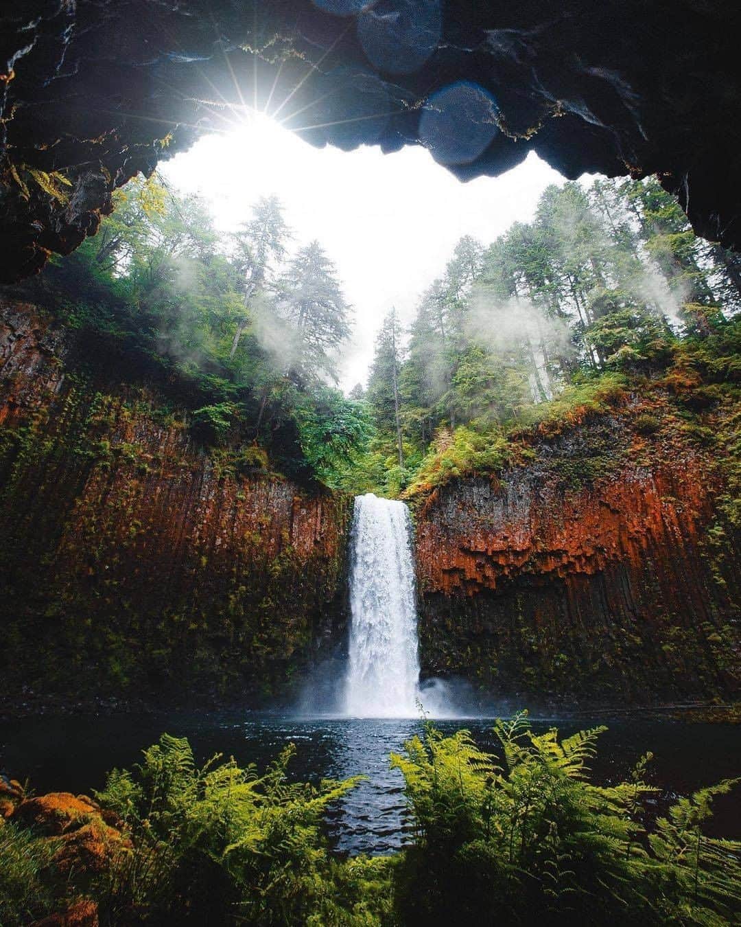 Discover Earthさんのインスタグラム写真 - (Discover EarthInstagram)「Have you ever visited Oregon and its hidden wonders?  Oregon is a state in the northwestern United States, located on the Pacific coast between the states of Washington to the north, California to the south, Nevada to the southeast, and Idaho to the east. Its northern and eastern borders follow the Columbia and Snake Rivers to the north and east. The entire territory is crossed by the Cascade Range, which forms an important climatic barrier: the western part of the state, with its oceanic climate, is covered by temperate rainforest, while the semi-arid eastern part is occupied by the Oregon High Desert. Crater Lake National Park is located in the southern part of the state  🇺🇸 #discoveroregon with @jguzmannn  . . . .  #oregon  #portland  #pdx  #oregonexplored  #pnw  #traveloregon  #pacificnorthwest  #pnwonderland  #bestoforegon  #upperleftusa  #portlandnw  #portlandoregon  #exploreoregon  #exploregon  #oregonnw  #oregoncoast  #portlandia  #travelportland  #cascadiaexplored  #pdxnow  #northwestisbest  #youroregon  #pnwlife  #thatpnwlife  #pnwcollective  #nw  #northwest  #washington  #ripcity」1月4日 0時00分 - discoverearth