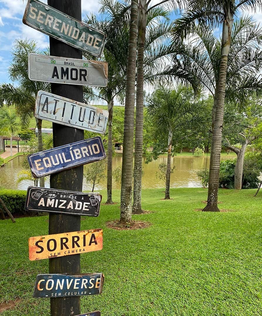 DECÊNCIAのインスタグラム：「Serenidade, amor, atitude, equilíbrio, amizade, sorrisos e conversas: começando 2021 com tudo de essencial pra gente! 💫」