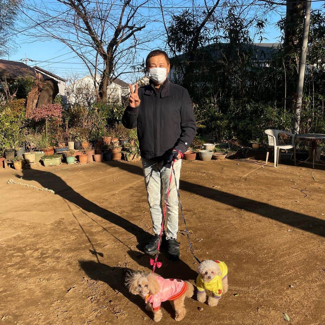 渡辺徹さんのインスタグラム写真 - (渡辺徹Instagram)「東京の  正月三ヶ日は  とても長閑であった  爽やかな日差しに誘われて  散歩に出てみる  近所の散歩にも関わらず  小綺麗にして  目の前をスタスタ歩くのは  この方 (写真1)  よほど心地良かったのか  信じられない事に  途中、愛犬たちと  ダッシュ  をしていた‼️  そしてこちらの方は  ダッシュの代わりに  ピース　　 (写真２)   良い正月を過ごせた。  と  ここまでは良かったのだが・・・  帰宅してから  次男とテレビゲームのボウリングで勝負したところ  上が次男である (写真３)  お分かりだろうか  10フレームの1投以外は全てストライク  パーフェクトまで後1歩‼️  コテンパンにやられてしまったのだ(>_<)  また来年リベンジだ！  #渡辺徹 #榊原郁恵 #正月 #散歩 #愛犬 #nintendoswitch  #ボウリング」1月4日 0時21分 - tohru.rugger
