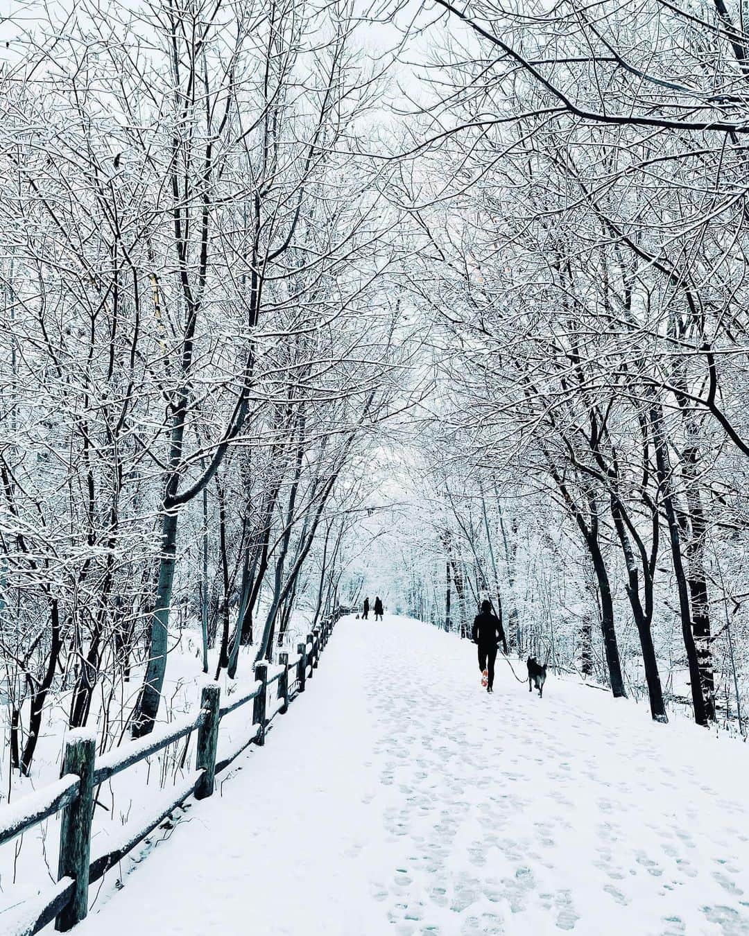 kaelのインスタグラム：「Seasons change with the scenery Weaving time in a tapestry」