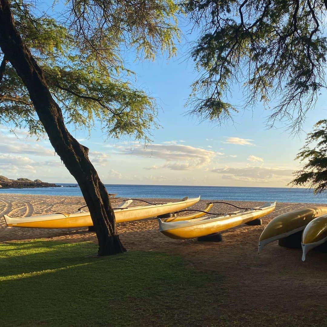 レインスプーナーのインスタグラム：「Good day for a paddle.」