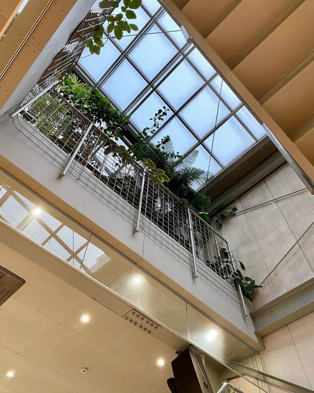 留奥麻依子のグルメインスタ