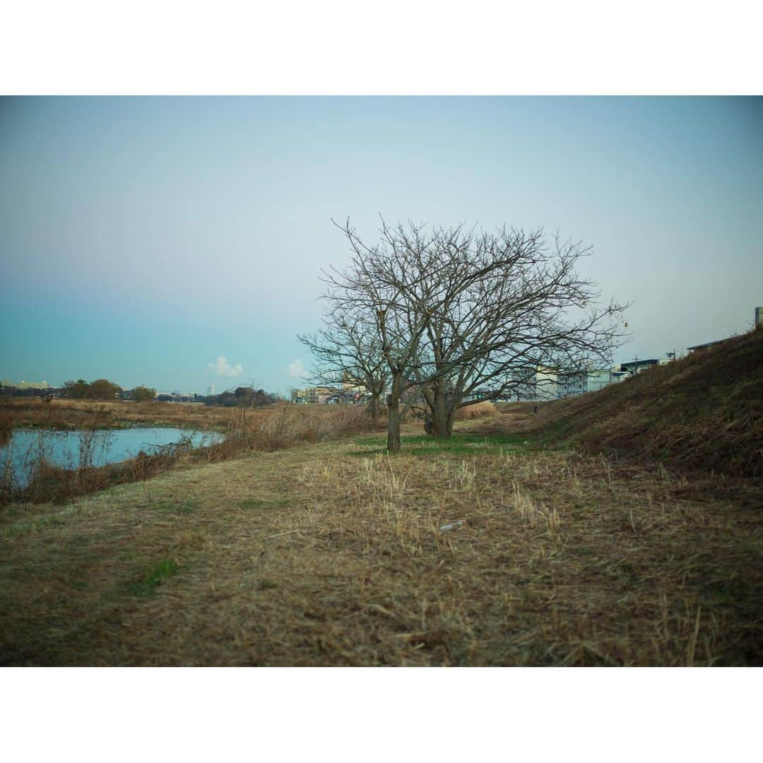 蓮井元彦さんのインスタグラム写真 - (蓮井元彦Instagram)1月4日 11時55分 - motohiko_hasui