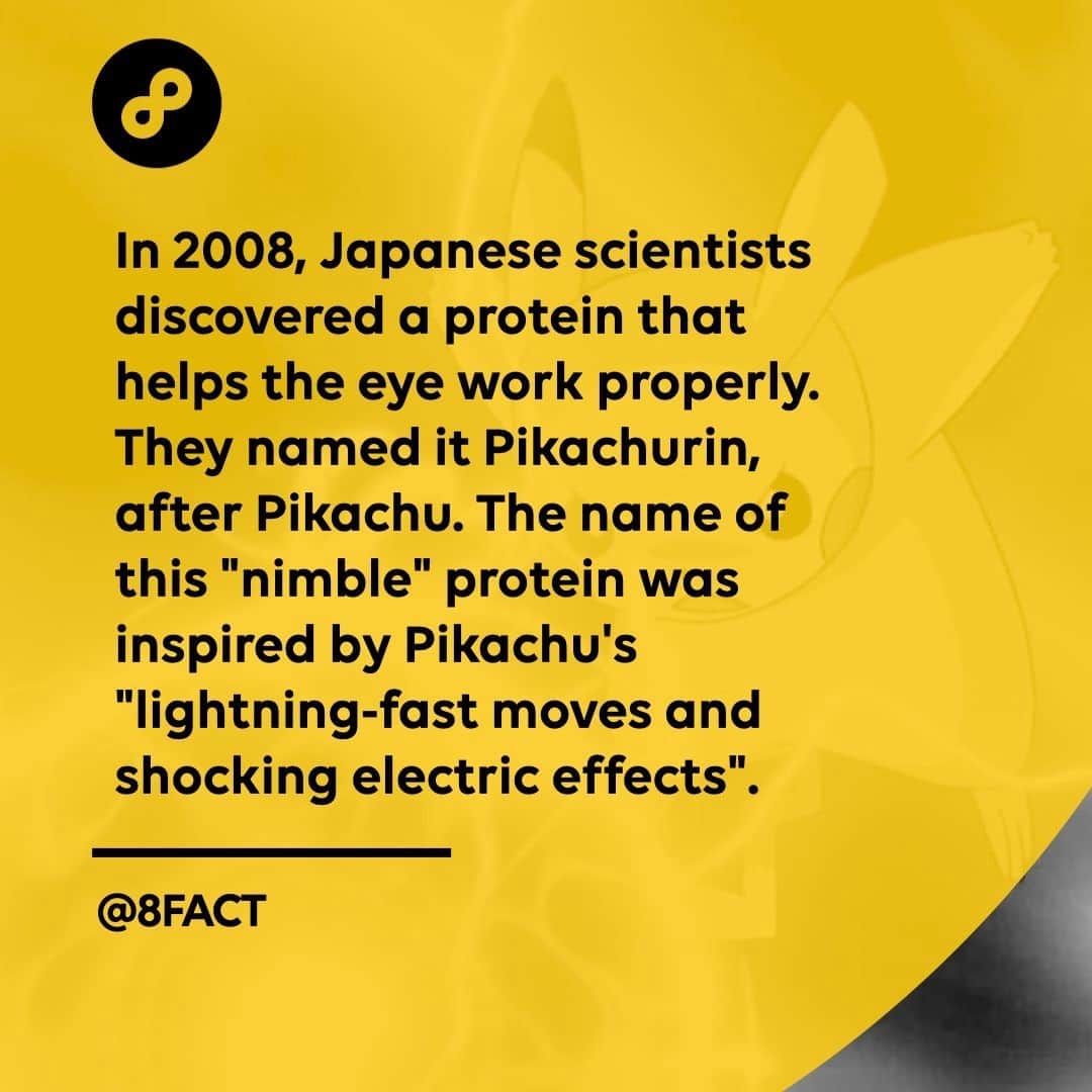 のインスタグラム：「Pikapi pika.」