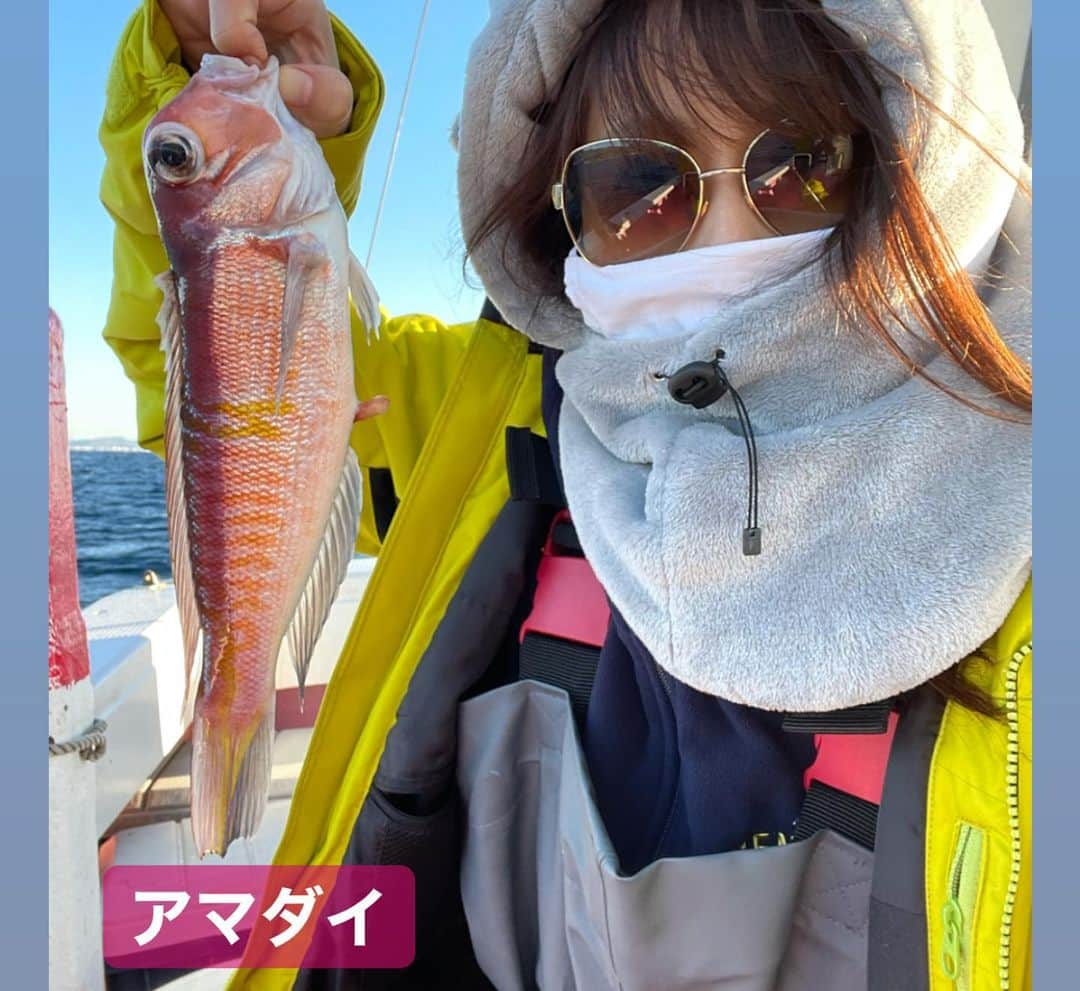 榎本加奈子さんのインスタグラム写真 - (榎本加奈子Instagram)「メインは甘鯛釣りでしたが、色々な魚が釣れました。🎣 釣れればなんでも楽しいっ。💓 #甘鯛#釣り#fishing #大魔神佐々木  #佐々木主浩チャンネル#youtube #チャンネル登録お願いします #🙏 #緑龍丸 #三宅水産 #真鶴」1月4日 12時52分 - kanako._.enomoto