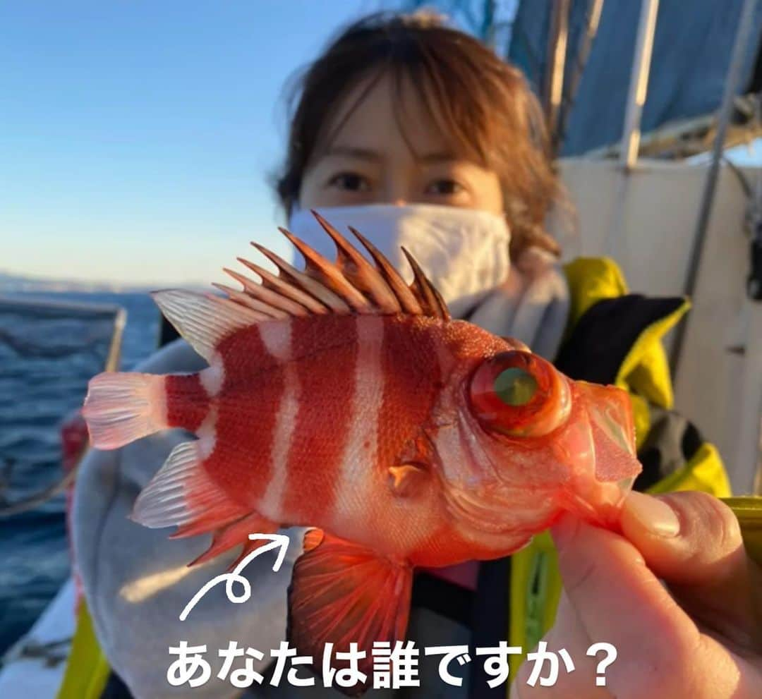 榎本加奈子のインスタグラム：「メインは甘鯛釣りでしたが、色々な魚が釣れました。🎣 釣れればなんでも楽しいっ。💓 #甘鯛#釣り#fishing #大魔神佐々木  #佐々木主浩チャンネル#youtube #チャンネル登録お願いします #🙏 #緑龍丸 #三宅水産 #真鶴」