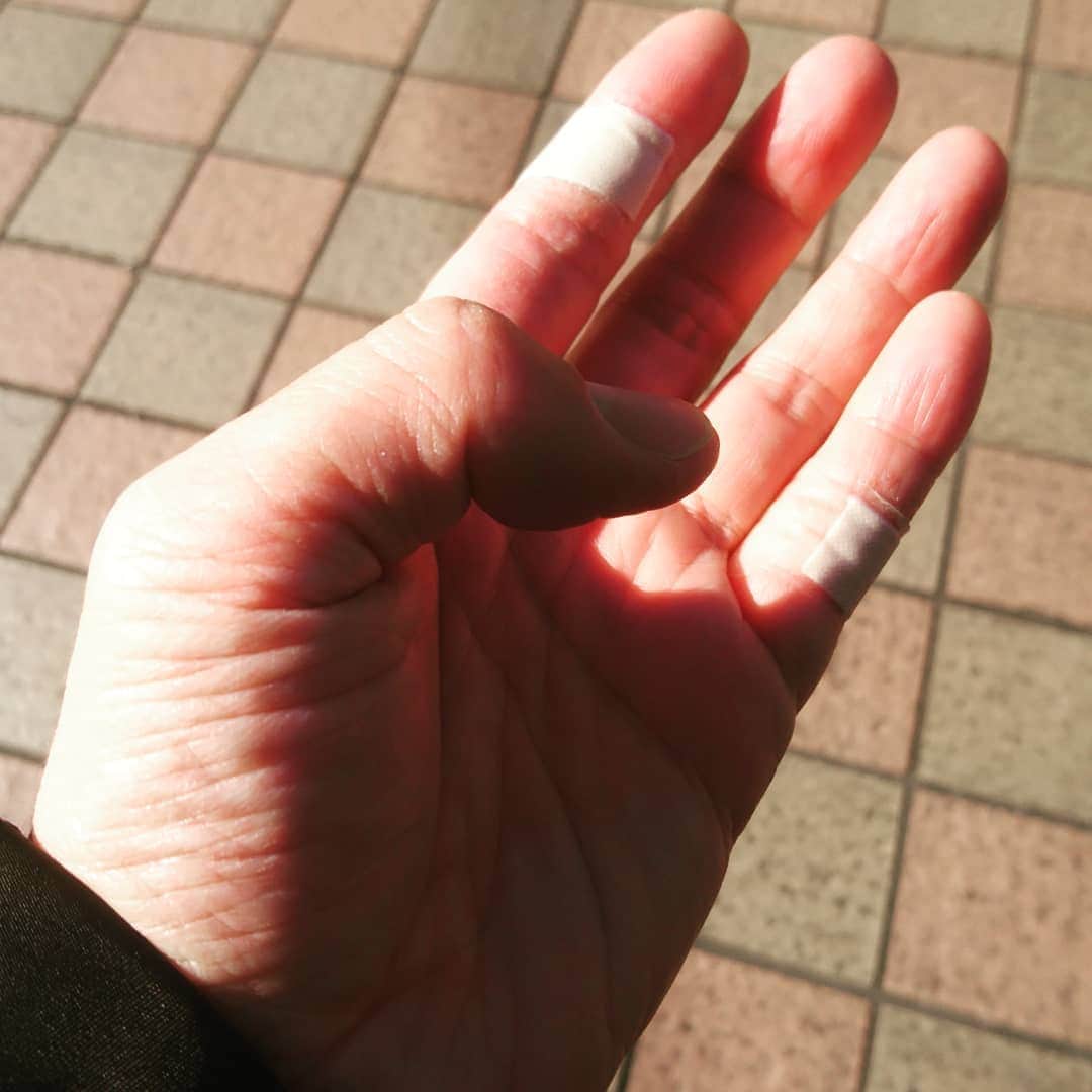 のインスタグラム：「なんだか傷が増えてきたわよ奥さん。消毒と手洗いと炊事の繰り返しによるものかしら。  パソコンとタブレット触るからハンドクリーム塗りづらいのよねえ。  健康が良いわね奥さん。」