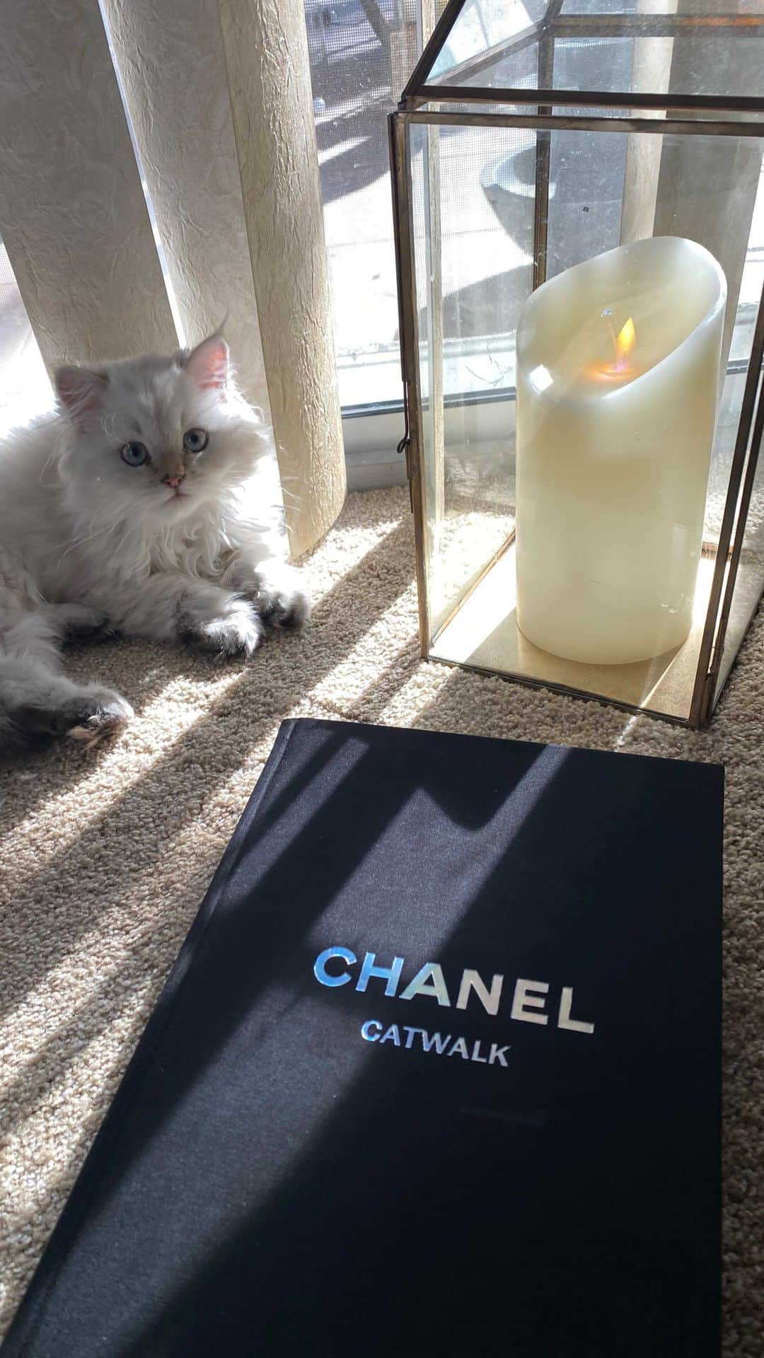 アンナ・ハウスのインスタグラム：「Just arrived 🦋 CHANEL complete collections by @yalebooks a must have 🦋💥Sundays are quiet and contemplative. Sundays to me are a time to catch up #book#Chanel」
