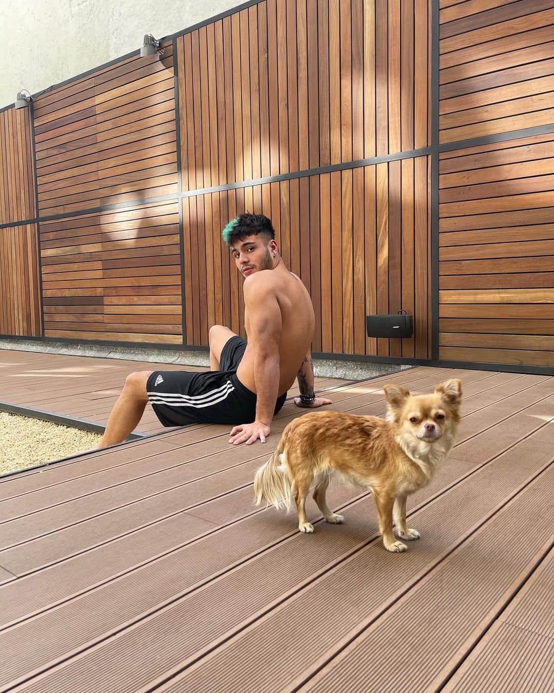 Sebastián Villalobosのインスタグラム：「🐶🌞🇲🇽」
