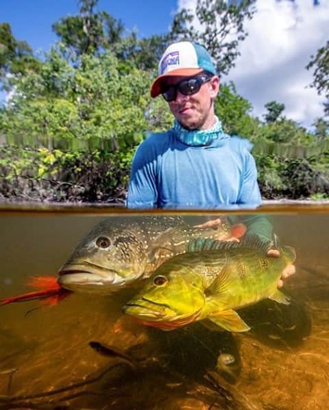 Costa Sunglassesのインスタグラム：「Flash of feathers. 📷: @theflyfishingnation @aguaboaamazonlodge #SeeWhatsOutThere #BornOnTheWater」
