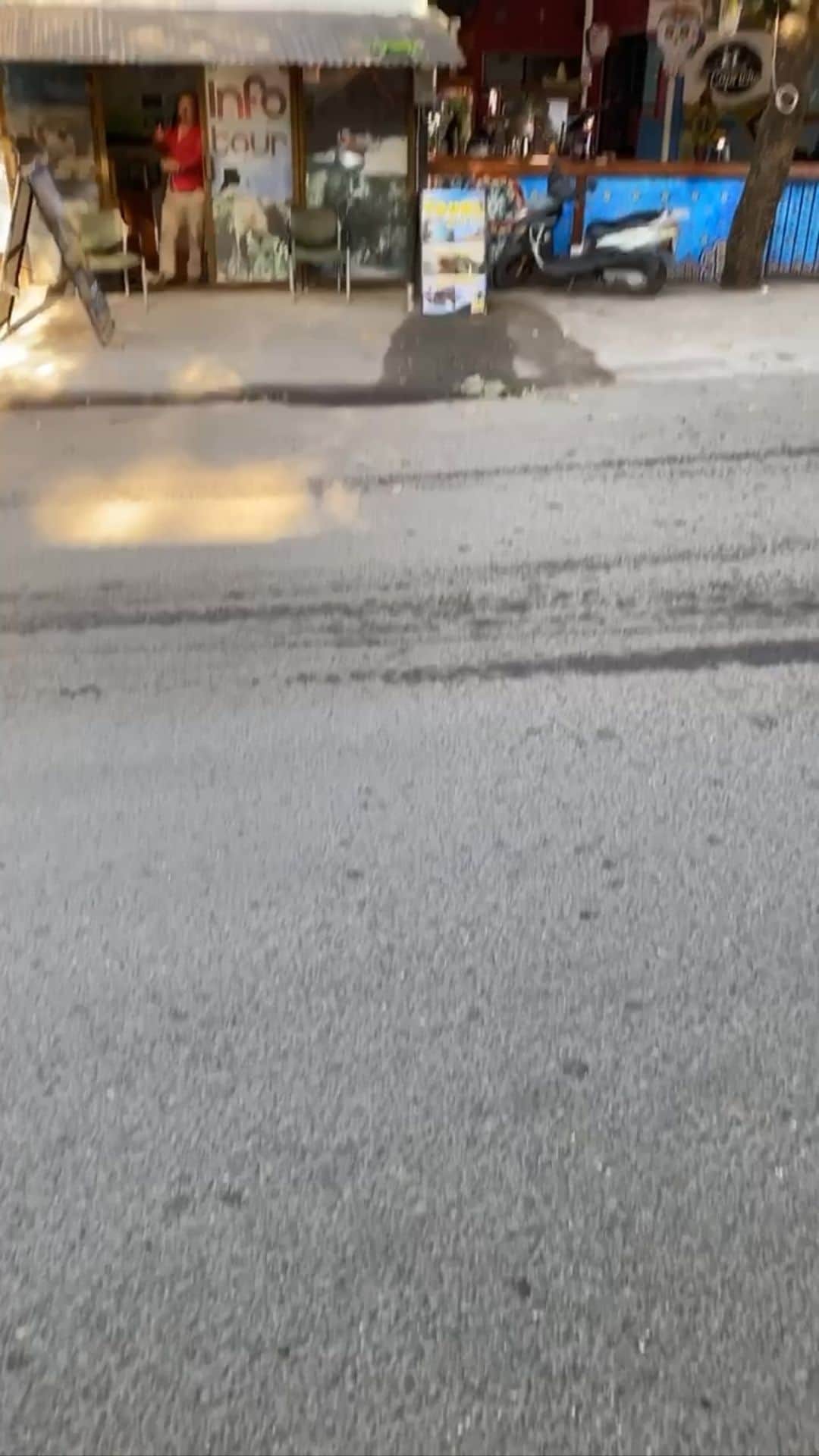 ケン・ブロックのインスタグラム：「One of the most random moments of 2020 for me:  I started videoing this iguana on a street in Costa Rica just before Christmas, and this dude just happened to poke it whilst I was filming. Haha. Such a random thing to catch on video. #iguana」