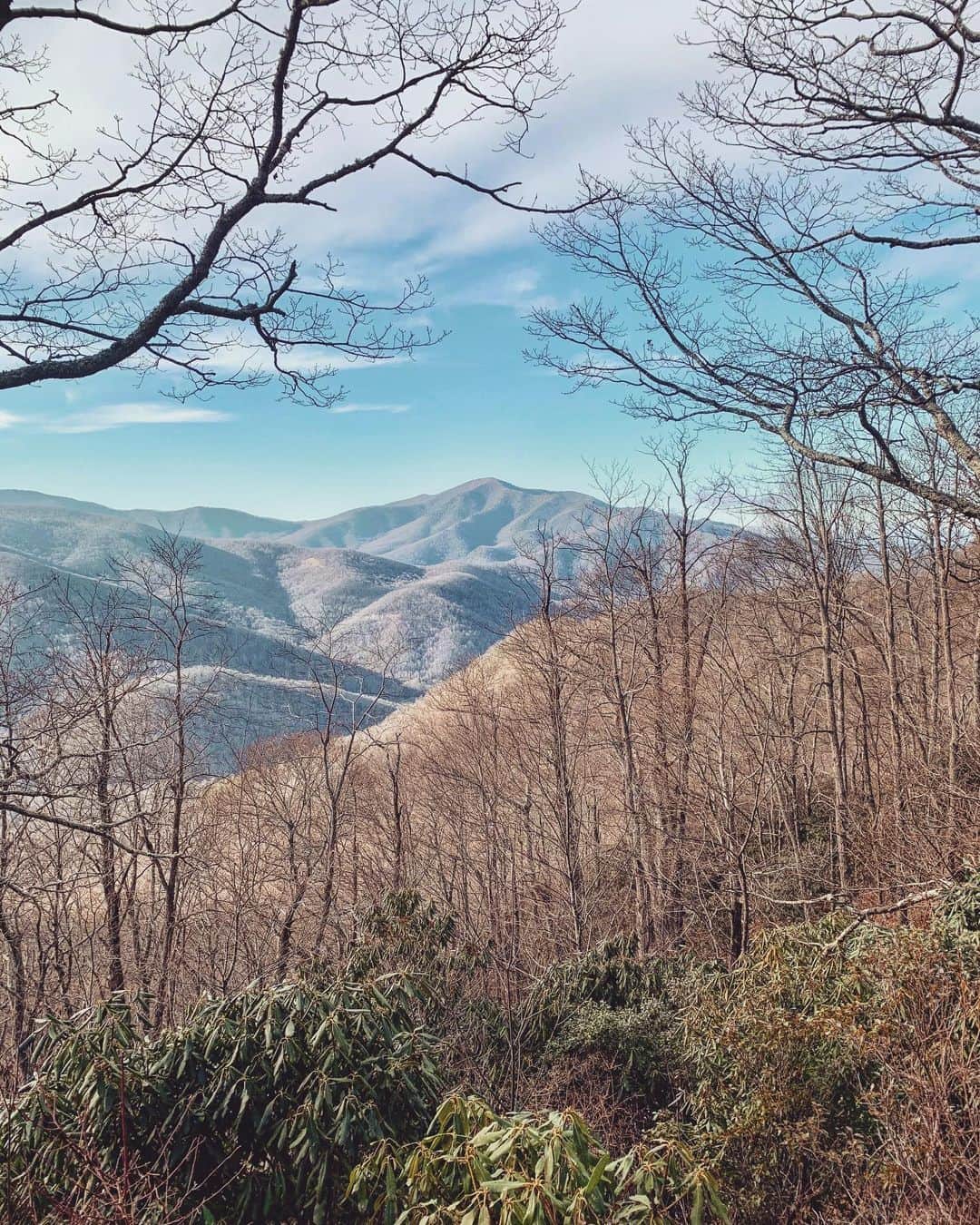 クララ・スピルコバさんのインスタグラム写真 - (クララ・スピルコバInstagram)「Adventuring in North Carolina mountains. ⛰💚🇺🇸 #natureescape #gratitude」1月4日 7時59分 - spilkovaklara