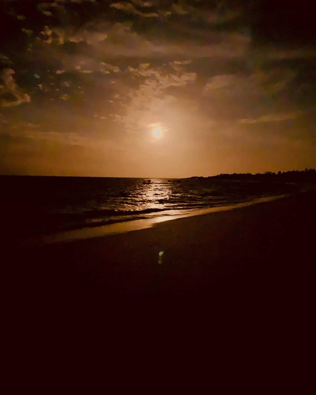 マーロン・テシェイラのインスタグラム：「—- Around here the year start like this. Full of light, peace and happiness. This is what I wish to all you beautiful souls for this new year. 🌻🐒✌🏽 —- Por aqui o ano começou assim. Transbordando de luz, paz e alegria. E é isso que eu desejo a todos vocês nesse 2021. Que todas essas almas lindas transborde de muita luz, paz e alegria. 🌻🐒✌🏽 —- 🎩...Peace&Light...♻️ —- #FelizAnoNovo #HappyNewYear #MaeLua #FilhosDaLua #GoodVibesOnly」