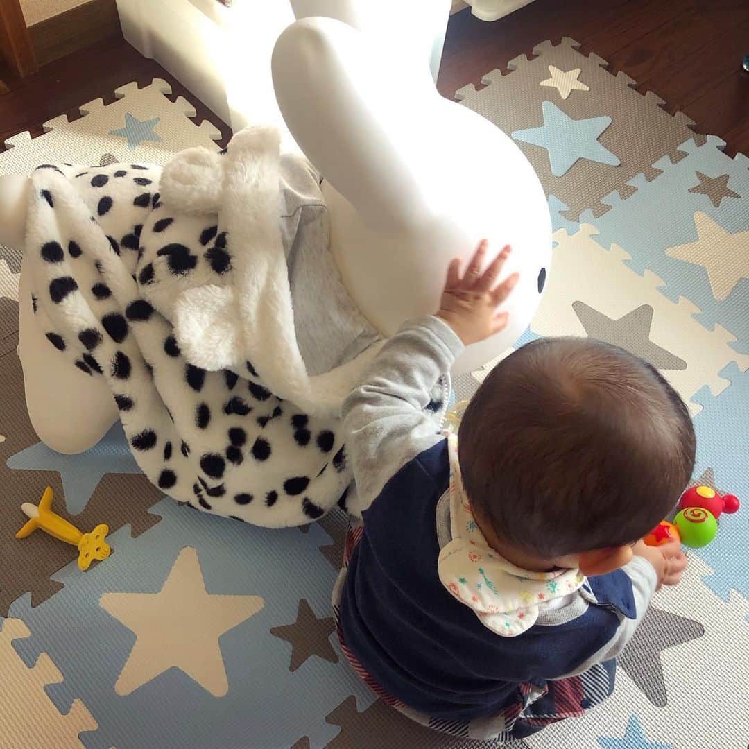 のインスタグラム：「. 2021年 今年もよろしくお願いします🐄 . . #丑年 #2021年」