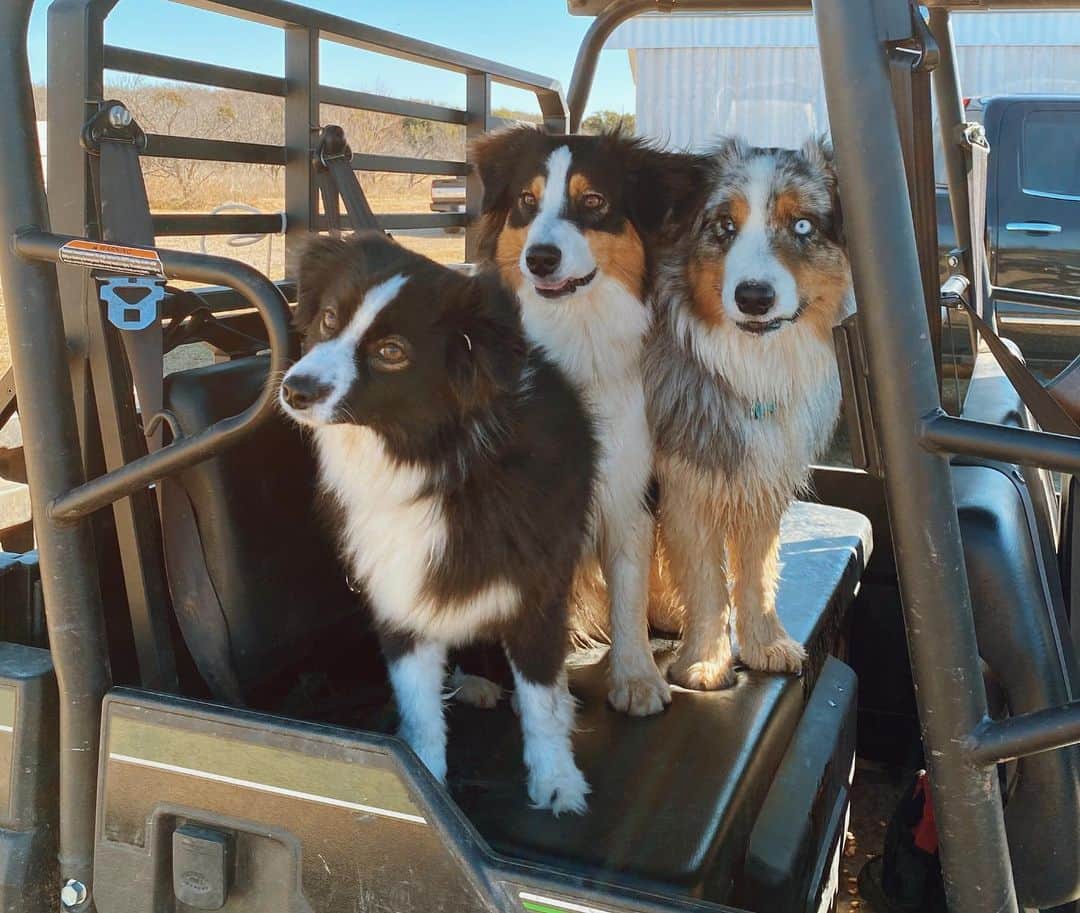 アシュリー・ケインさんのインスタグラム写真 - (アシュリー・ケインInstagram)「a weekend well spent at the gribble ranch 🤍」1月4日 9時02分 - icegirlash