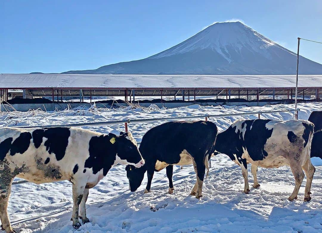 phantastic420さんのインスタグラム写真 - (phantastic420Instagram)「. 🤩🤩“Shizuoka” prefecture in Japan is a place where you can see the most “phantastic” Mt. Fuji🗻 in the world.🤩 #富士山 #mtfuji #japan #shizuoka #fujinomiya  #宮すた #miyasta @fujinomiyacity  #phantastic420photography #mostphantasticmtfuji #selamatpagi  #goodmorning  #おはようございます  #สวัสดี 🙏#สวัสดีครับ 🙏🇹🇭😇😇😇😇😇🗻😇😇😇😇 🇹🇭#Thailand now 🤣#サワディーカップ 🙏#サワディー 🙏 本日から仕事です🤣頑張りま〜す🤣」1月4日 9時06分 - phantastic420