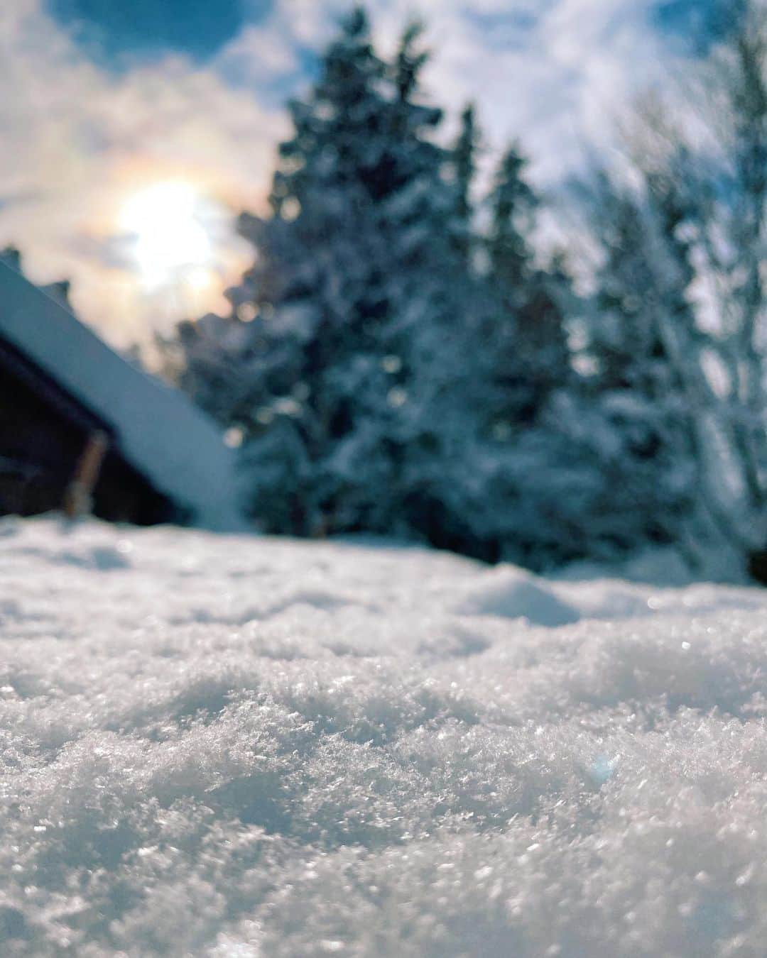 ジュリア・ミナトヤさんのインスタグラム写真 - (ジュリア・ミナトヤInstagram)「☃️❄️﻿ ﻿ ﻿ ﻿ ﻿ ﻿ ﻿ ﻿ ﻿ ﻿ #snow#lifestyle#country#countryside ﻿ ﻿」1月4日 9時16分 - julia.minatoya