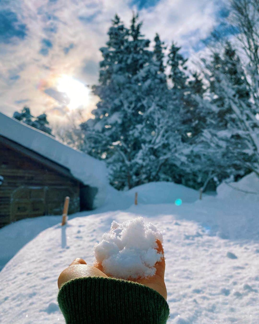 ジュリア・ミナトヤさんのインスタグラム写真 - (ジュリア・ミナトヤInstagram)「☃️❄️﻿ ﻿ ﻿ ﻿ ﻿ ﻿ ﻿ ﻿ ﻿ ﻿ #snow#lifestyle#country#countryside ﻿ ﻿」1月4日 9時16分 - julia.minatoya