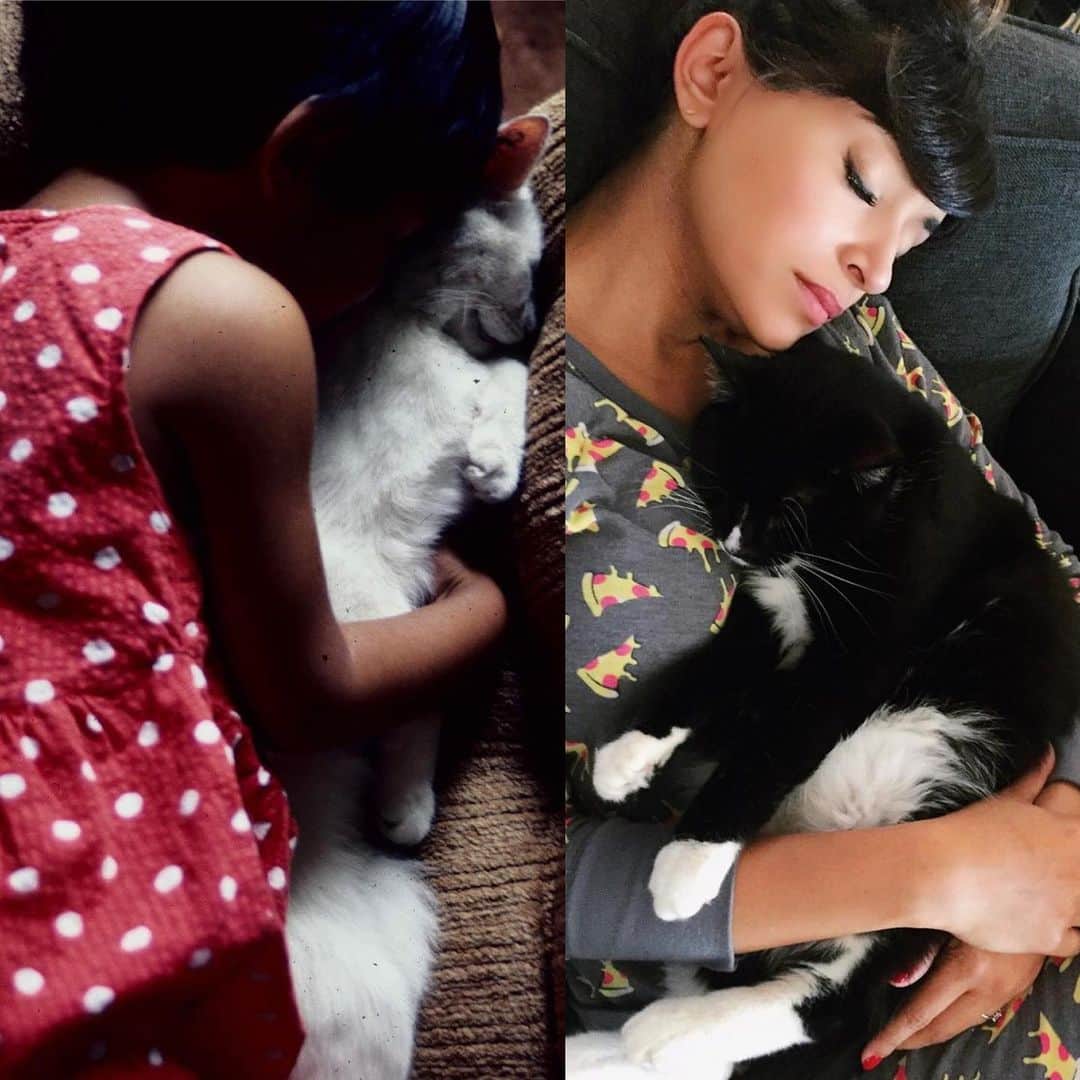 ハンナ・シモンのインスタグラム：「Since time, my favorite personal activity is SLEEP WITH CAT. Some people ski or paint or hang out with other humans but I sleep with cat and that is my hobby and special skill and where I feel my true purpose being fulfilled. If you are looking for you own life calling I highly recommend sleep with cat. It’ll leave you feline great. Okay I’m done bye @havecatzwilltravel 😽 💤」