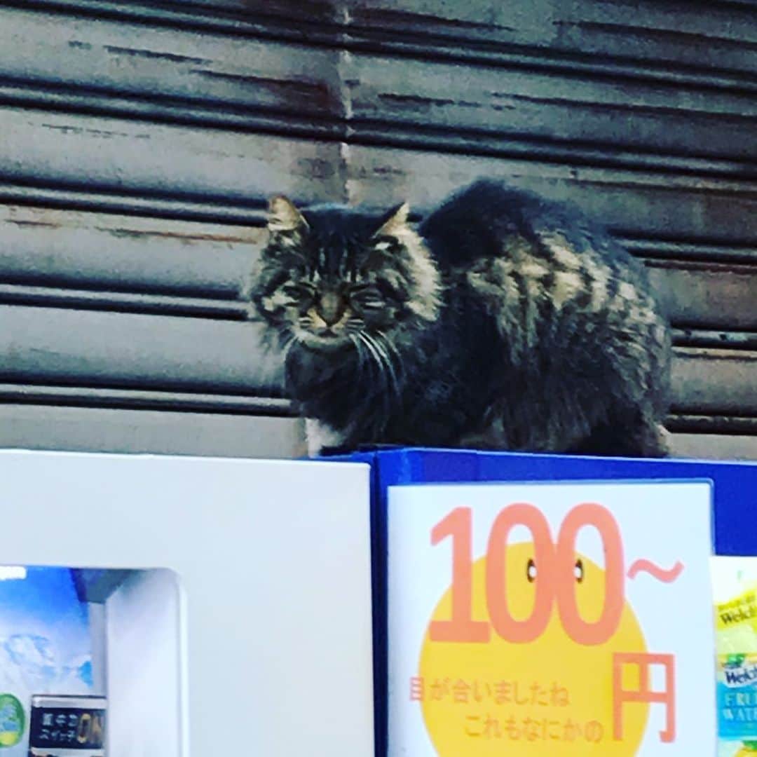 ジェイク・リーのインスタグラム：「君100円やで」