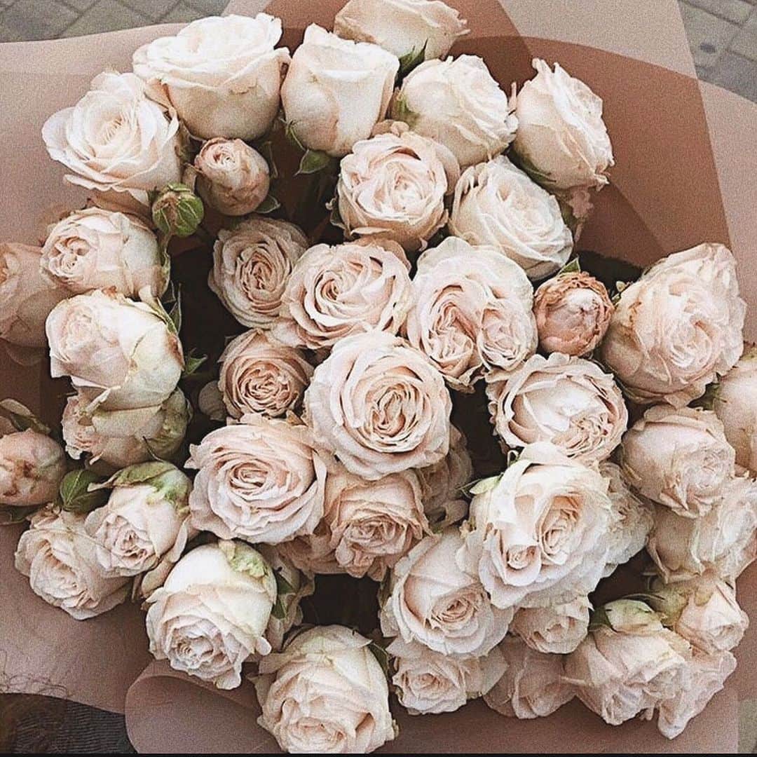 Aylen Aのインスタグラム：「🌸🌸🌸」