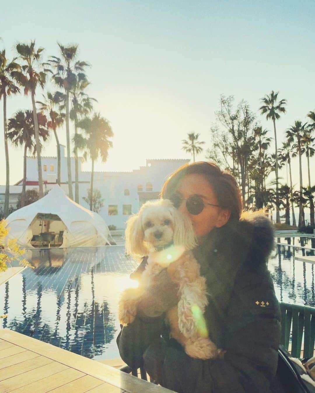 のインスタグラム：「いつも年末年始は海外へ出る事が多かったんですが、今年は全くそんな気にもならず 東京で日常と変わらない年末年始を過ごしました。  雰囲気だけでもリゾート感をと、家族と友人と一緒に海側まで車を走らせること1時間。  🌴🌴🌴ヤシの木あるだけで南国感🏝  さっ、今日からまた気合い入れ直します💪  仕事始めの方も多いのかな？  中々状況が戻らない様ですが、 自分なりの楽しみ方見つけながら頑張っていきましょうね☺️✌️  #年末年始 #リゾート感 #ヤシの木  #逗子」