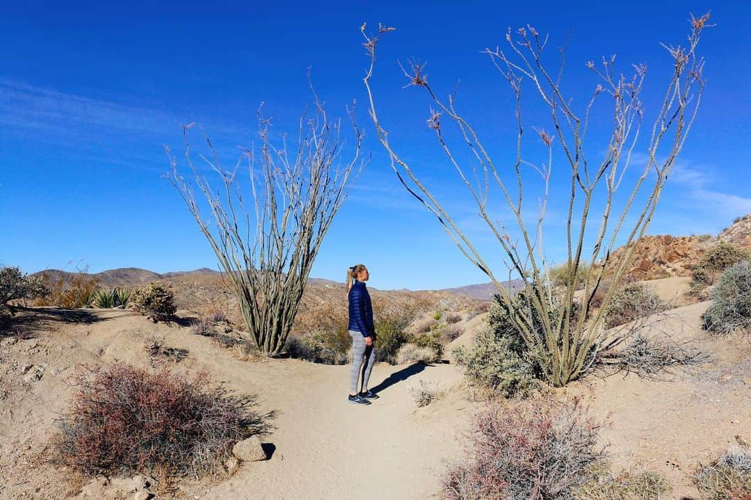 カーリー・ウォパットさんのインスタグラム写真 - (カーリー・ウォパットInstagram)「Journal Entry • 1/1/21  17 hours. That’s how long I’ve been alive in 2021 so far. I believe in the power of strong starts, and this simple yet profound day in Joshua Tree was exactly what I was looking for. As we drove into the park this morning, I looked out at the desert land stretching as far as I could see and felt its sacred pull. There’s something desolately spiritual about this space sandwiched between the hot sand and sun. It’s not in what is there.. but in what isn’t. The emptiness. The silence.   Rock piles of endlessly fascinating shapes and sizes, green patches of vegetation I’ve never seen before (or simply not paid close enough attention to remember), and a vast pale blue sky flooded my wide eyes. My senses were locked in. Sunlight and shadows danced hand in hand across the symphony of colors and textures.  I felt my body get lighter in the passenger seat as my mind settled into a hazy state of bliss. I was utterly still, floating, one with space and time. I was at peace.  This, I thought, is what I am here for.  Sure, I wanted to go on plenty of hikes and see all the beauty the park had to offer, but I also didn’t care about any sort of schedule or timeline (which is rare). We could do anything and I’d be perfectly content. I’m just happy to be alive. And here. Welcome, 2021.   #joshuatree #2021 #strongstart #photodump」1月4日 10時08分 - carlywopat