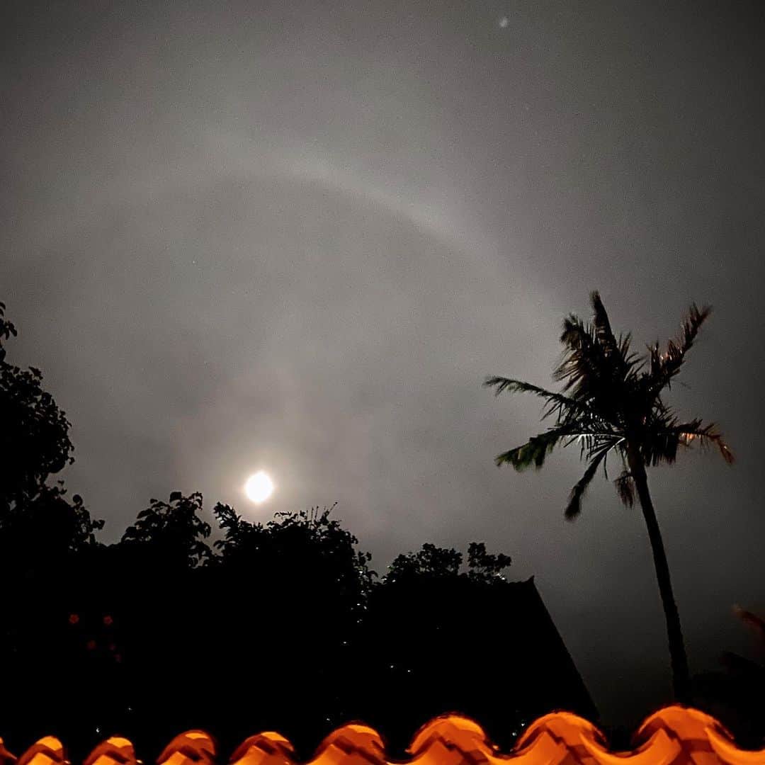 Giovanna Antonelliのインスタグラム：「Lindeza! 🌝」
