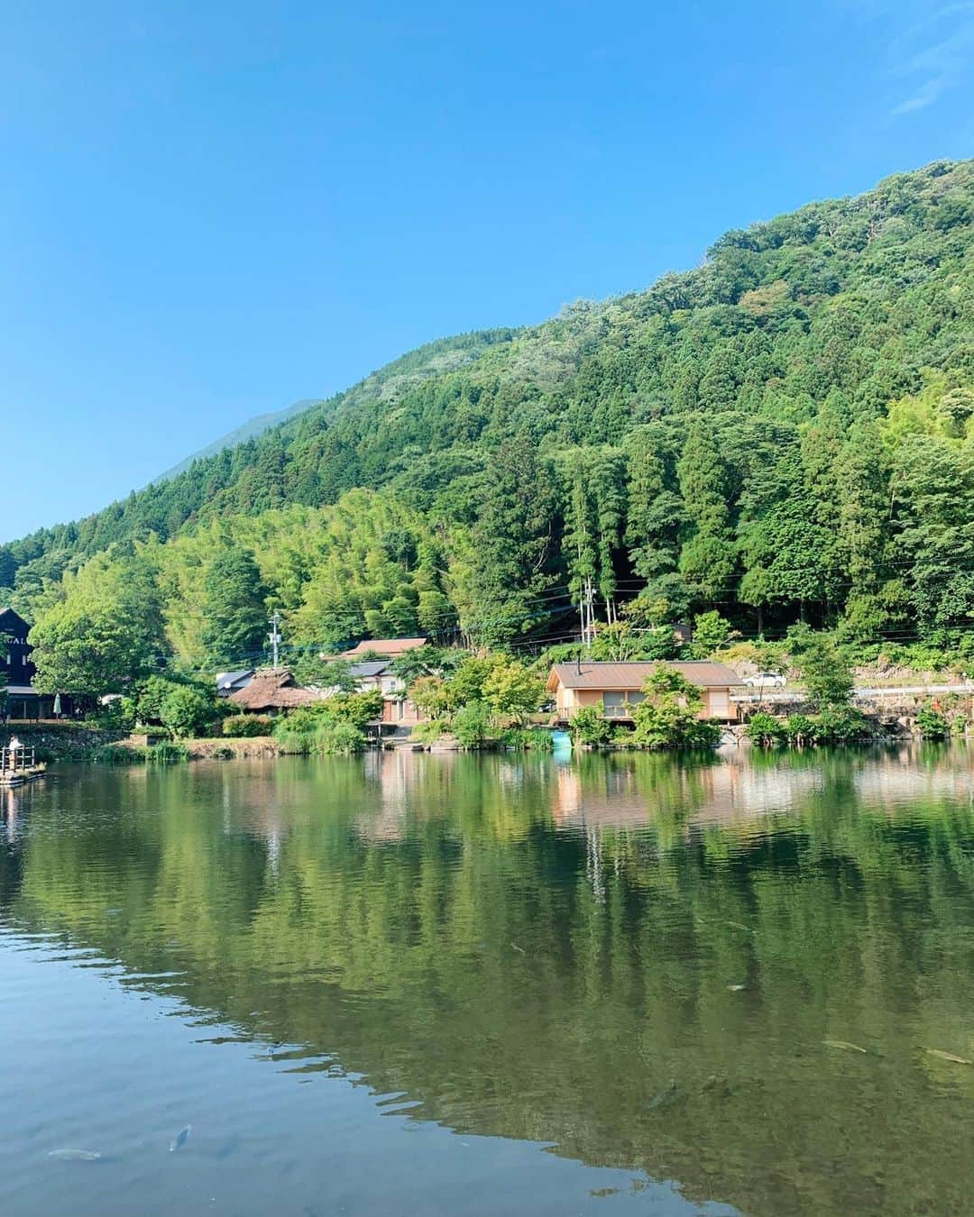 わちみなみのインスタグラム：「いつかの大分いったときの。﻿ 緑がいっぱいで魚もたくさん🐟みえる？﻿ ﻿ 山も大好き。﻿ はぁ〜温泉行きたいな〜^_^﻿ ﻿ #大分の写真﻿」