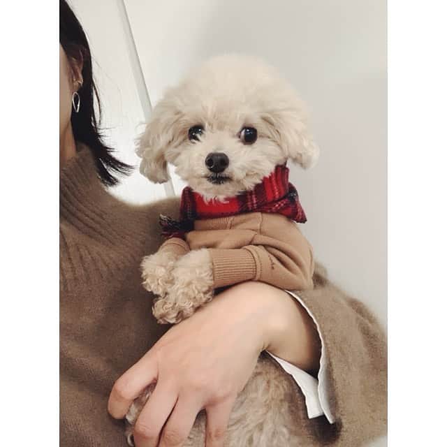 mizuのインスタグラム：「年々投稿枚数が減っていますが、、 ロッタ、LOCCHE共々 今年もゆるりとよろしくお願いします♡」