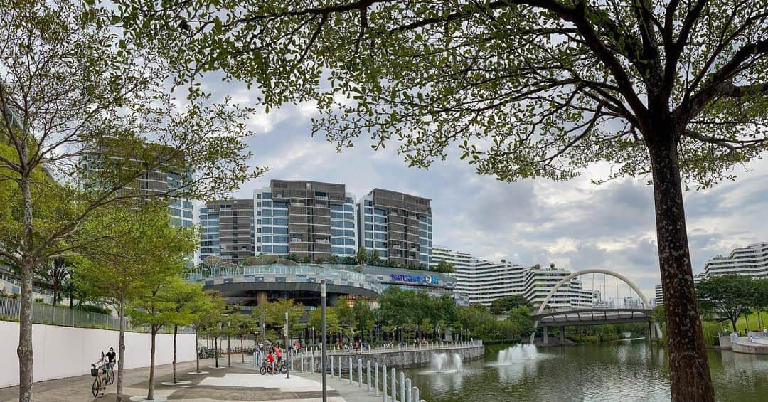 リー・シェンロンのインスタグラム：「Took a walk at Waterway Point in Punggol on New Year’s Eve. Saw many families out enjoying the last days of the school holidays!   School begins again today, but only for our K1 and Primary 1 pupils. The rest of the kindergarten and primary school cohorts start tomorrow, on 5 Jan. This is to help the new pupils get accustomed to their new schools, and the safety measures too. I’m sure they are excited to go to a new school, and make new friends!  I’m sure some parents are nervous and concerned for their little ones, and whether they can cope. This is the beginning of a new phase in their lives. Parent and child will be walking this journey together. Be there for them, and encourage them on their way. Your children will wow you with what they can accomplish! – LHL   (Photo by me)」