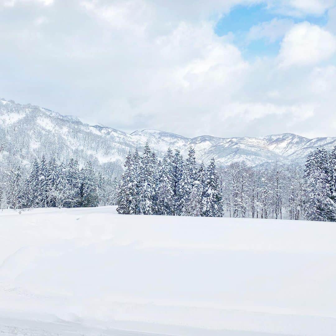 のインスタグラム：「Japanese winter wonderland ☃️🙈❄️ . just 2hrs from Tokyo station 🥰 #Japan #Powdersnow #新潟」