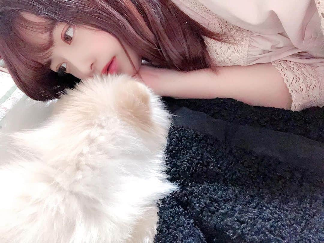 桜もこさんのインスタグラム写真 - (桜もこInstagram)「👧🐶  #愛犬　#後ろ姿 #cute #🐶　#家　#🏘 #家族　#お正月　#instagram #まったり」1月4日 22時20分 - mokochan319