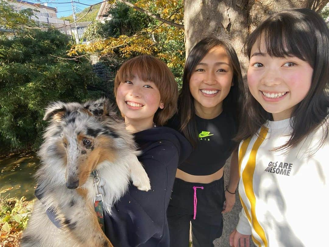 八木愛莉さんのインスタグラム写真 - (八木愛莉Instagram)「アヴィ に会いたいな〜🥲🥰﻿ もちろん、妹にも。﻿ Miss this little boy 🐶﻿ ﻿ aaand sisters, of course 🤭 ﻿ ﻿ #sisters #doglover#shetlandsheepdog#puppygram#姉妹#思い出写真#愛犬#NIKE#ナイキ」1月4日 21時17分 - airi.yagi