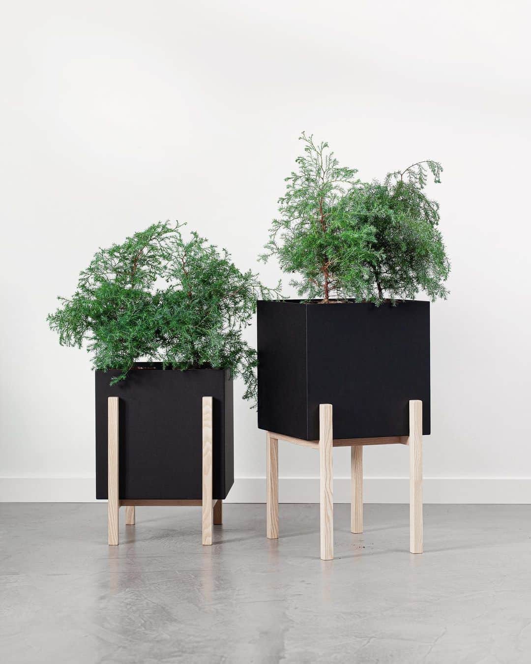 デザインハウス ストックホルムさんのインスタグラム写真 - (デザインハウス ストックホルムInstagram)「For 2021 the Botanic collection expands with a new model. Flip the wooden legs to adjust the height of the pot after your own preference.」1月4日 21時34分 - designhousestockholm