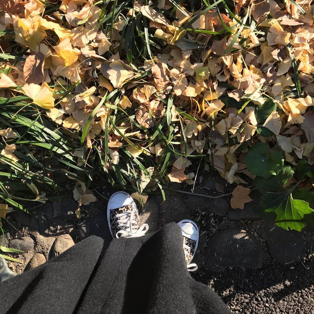 後藤夕貴のインスタグラム：「ㅤ 天気の良い日はたくさん歩きたくなります 歩くの大好き、自然大好き！🌳 ㅤ 今日からまた仕事始めの方も多かったと思いますがお身体に気をつけて。 今年は絶対に良い年にしようね！ そして休む時はしっかりと休もうね！ ㅤ ♡🧏🏼‍♀️」